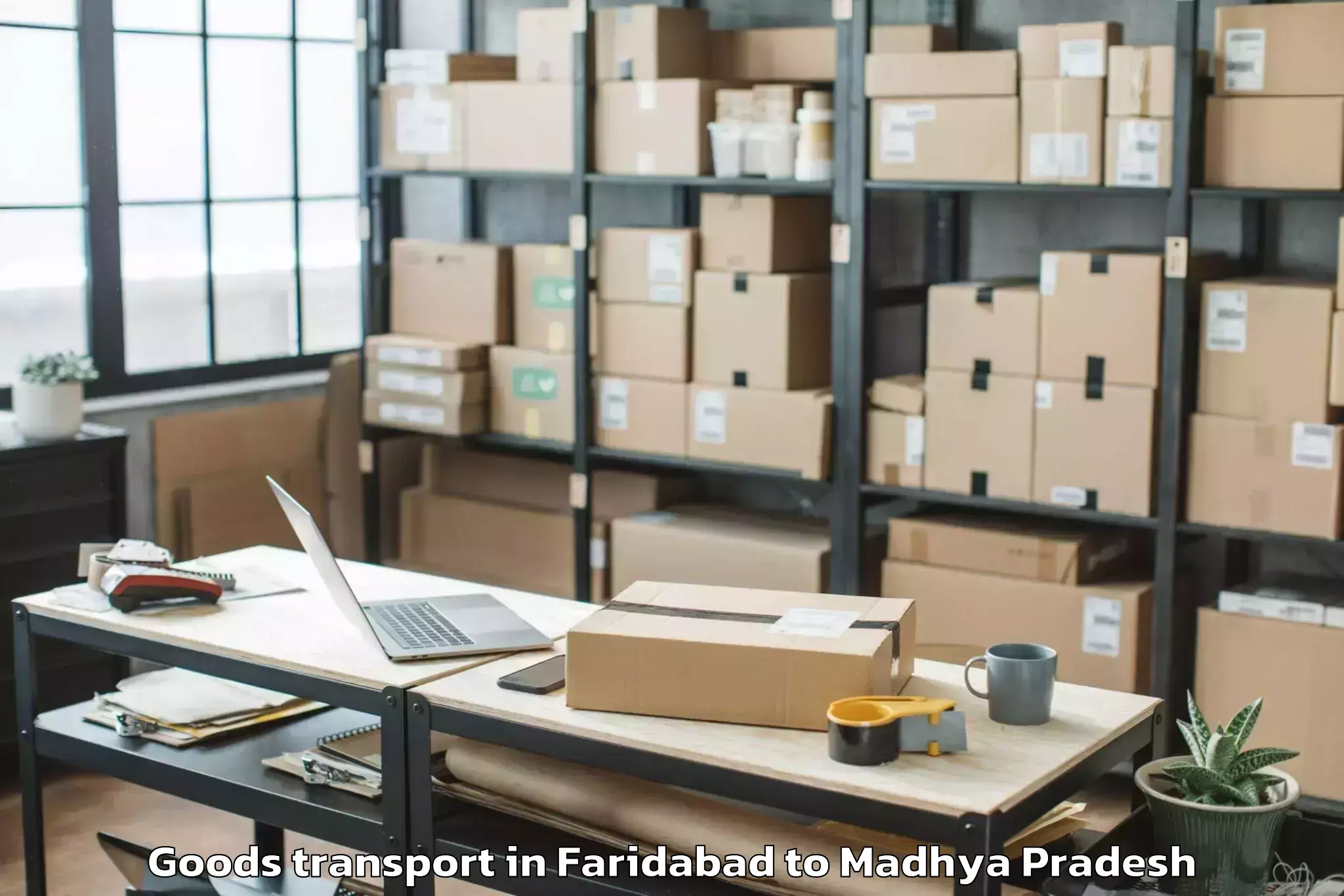 Expert Faridabad to Multai Goods Transport